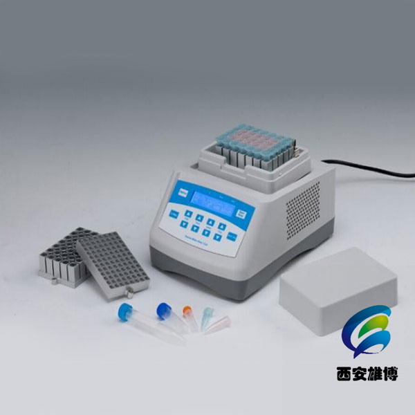 恒温孵育器